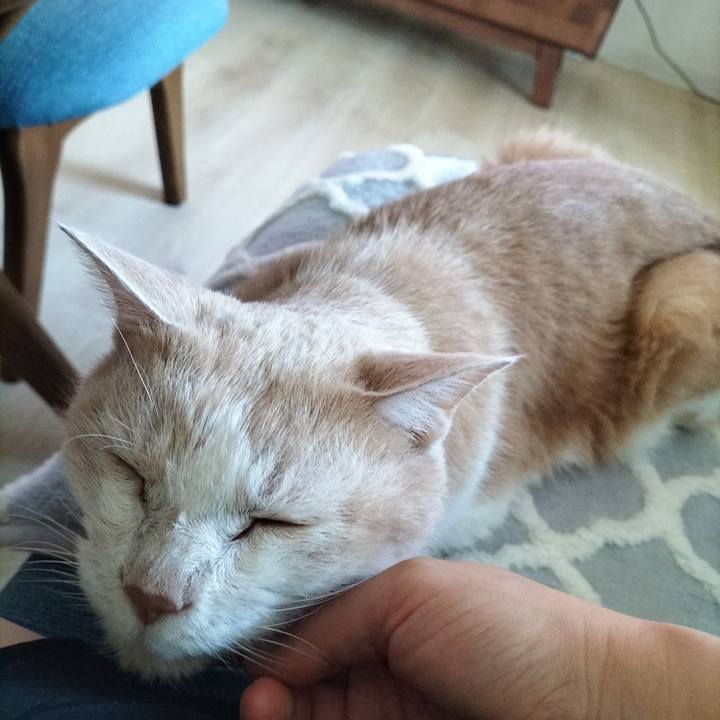 Cf2e3432 556b 439d aac0 c75205e1d328 1699395593762