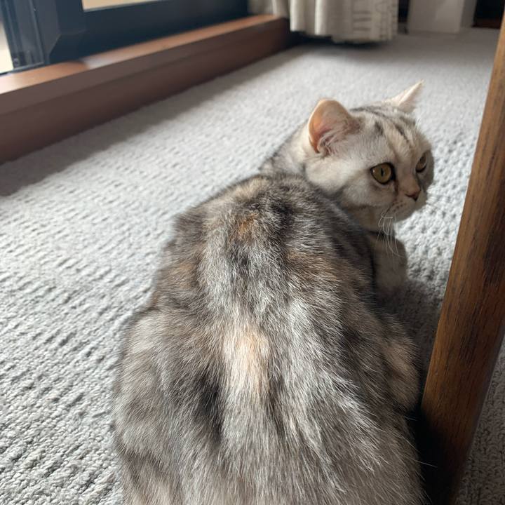 Cf2e5624 c8f9 4668 a8e6 b570aece1603 1709345818195