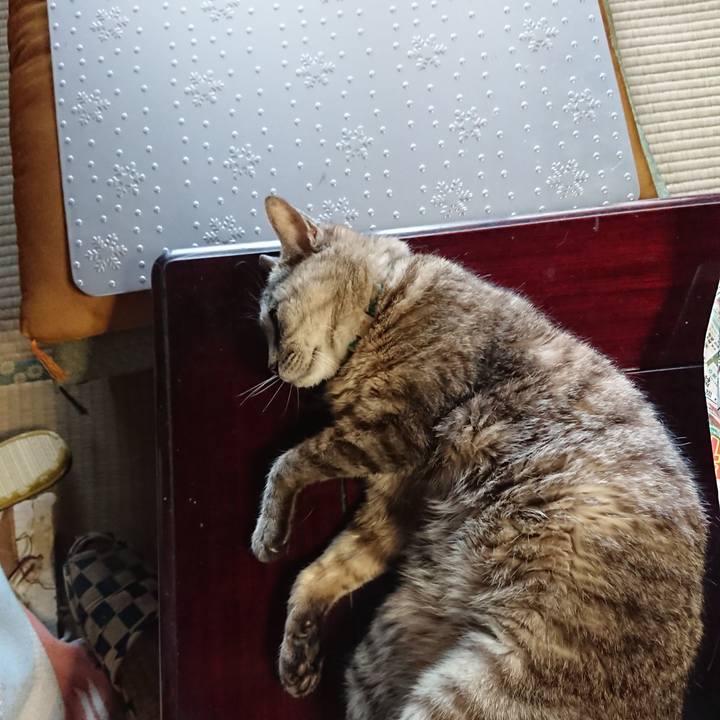 Cf2e6727 04eb 4409 9a45 faa57cde78d0 1565754043469