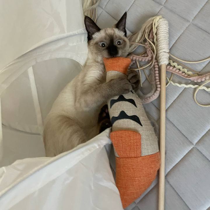 Cf2e77cc aa3c 4f91 ab60 03d2691b5a00 1692397359896