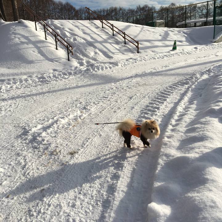 Cf2e81e0 e702 4598 ad65 9adf6c8ec731 1514799722571