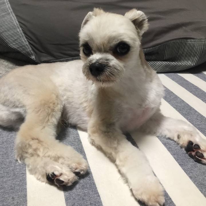 Cf2ea4dd a76f 408c 890b bb2a4e6c7cb6 1530874098511