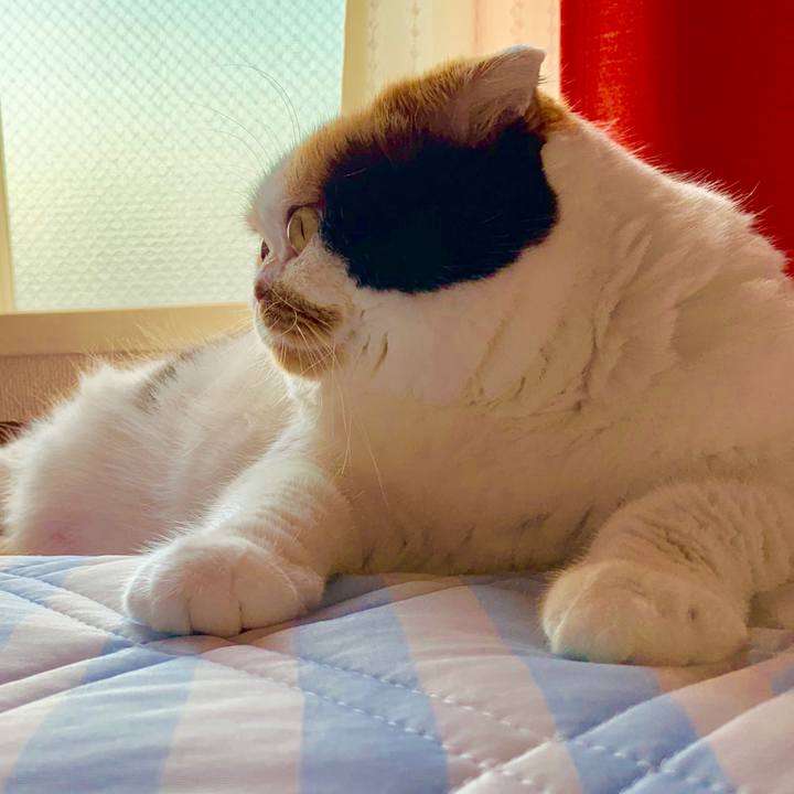 Cf2eaad8 6c7c 448d 93e9 9d1a8660d6d5 1564264089630