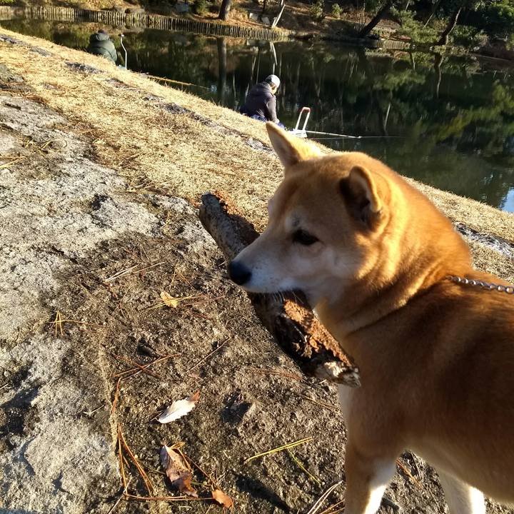 Cf2eff28 131e 4f35 90d4 157f30669039 1515669814810