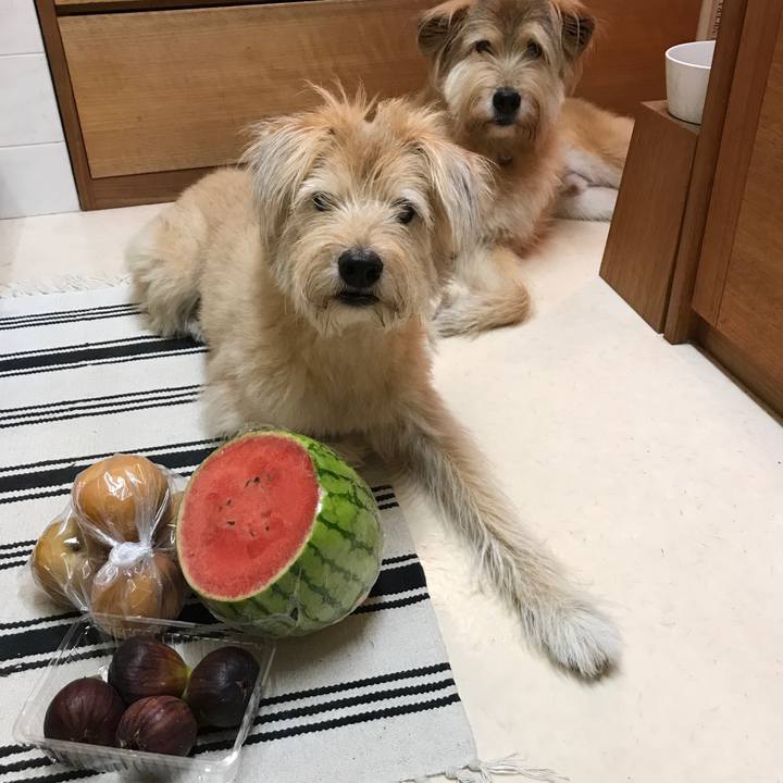 Cf2eff2b 1a88 44b5 b6af 7bdcaba3a321 1535117244983