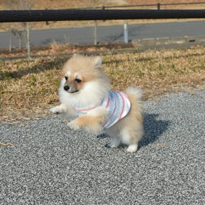 Cf2f10a8 bfb5 4b8b affa ceca3ab3c800 1514374610787