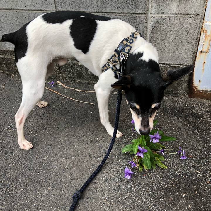 Cf2f166e f97a 4f76 967b a379e7e144b0 1523399350148