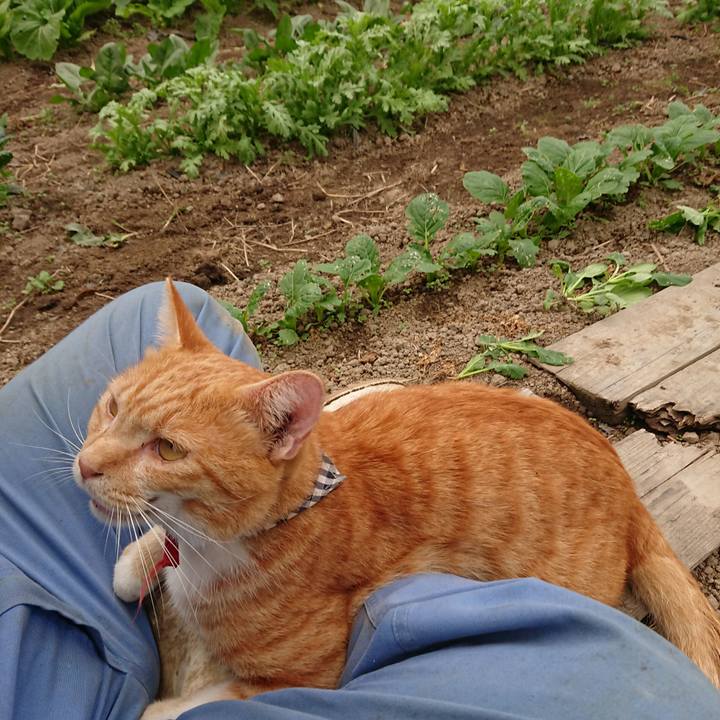 Cf2f34d1 f208 4230 92f0 8f615ccd5daf 1569741686190