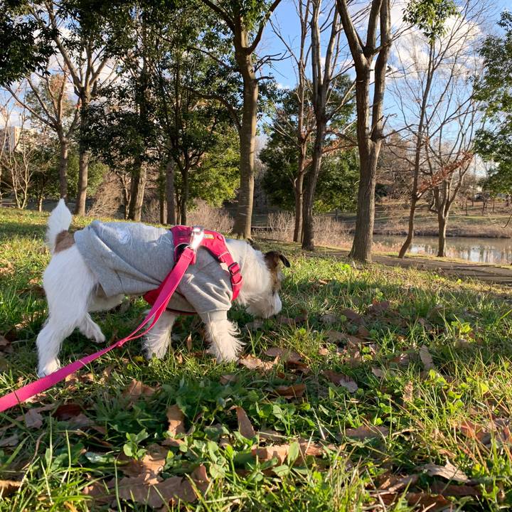 Cf2f3d67 310a 4f0b a581 42bb868d640e 1580287975829