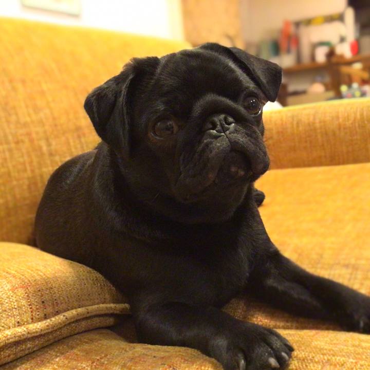 Cf2f5354 8939 4936 88da b25e241cffac 1611490336435