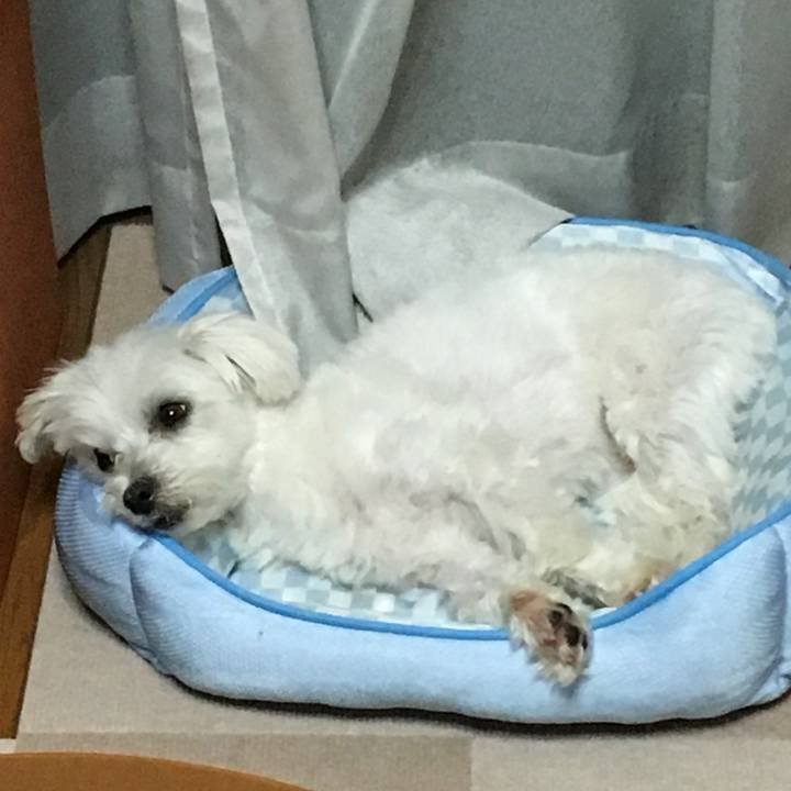 Cf2f67a5 4a32 46bf b955 0a8541f0546e 1560343531352