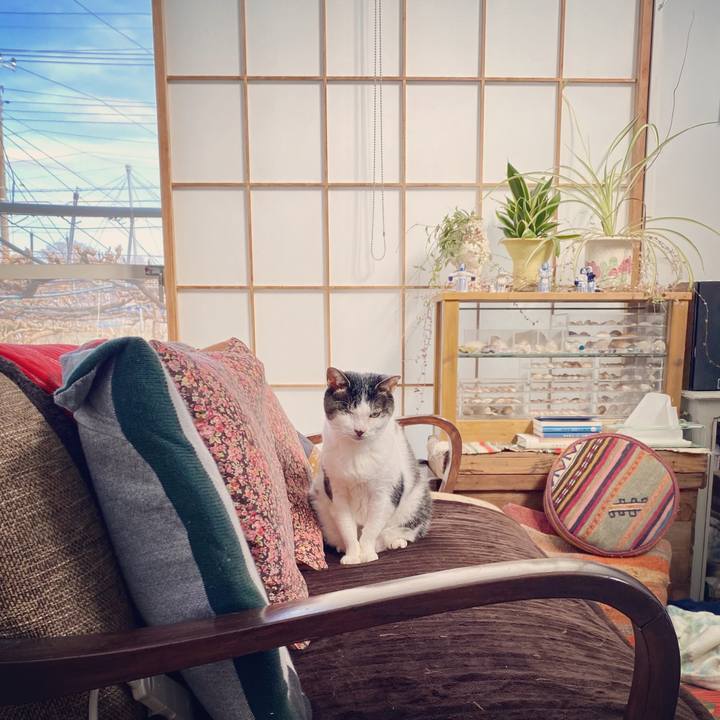 Cf2fc49e fe7f 4d2d a4a8 d46920eb3250 1615012522367