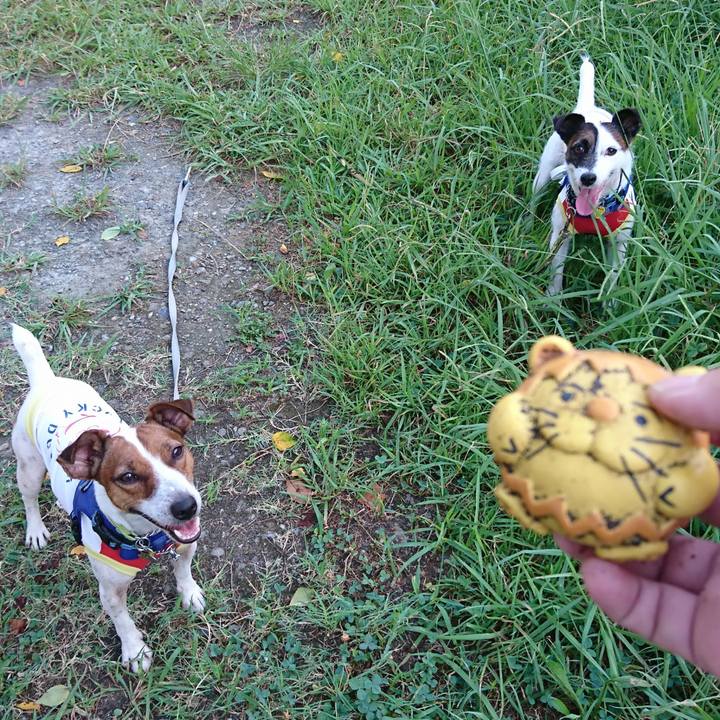 Cf2fc8ab ebb6 41c1 b6e9 37ca99ba494f 1565997784991