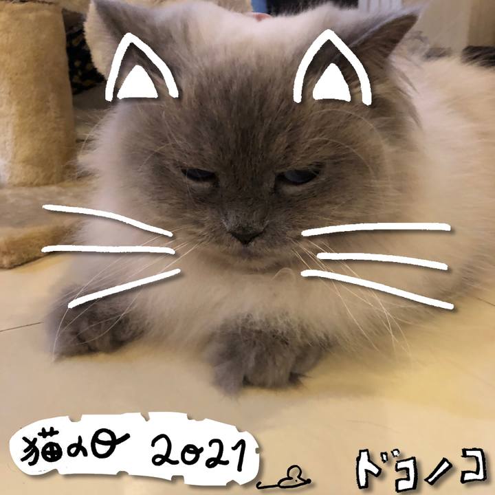 Cf2fc8ed 11e4 4c03 873f bdffc05869f4 1613994655134