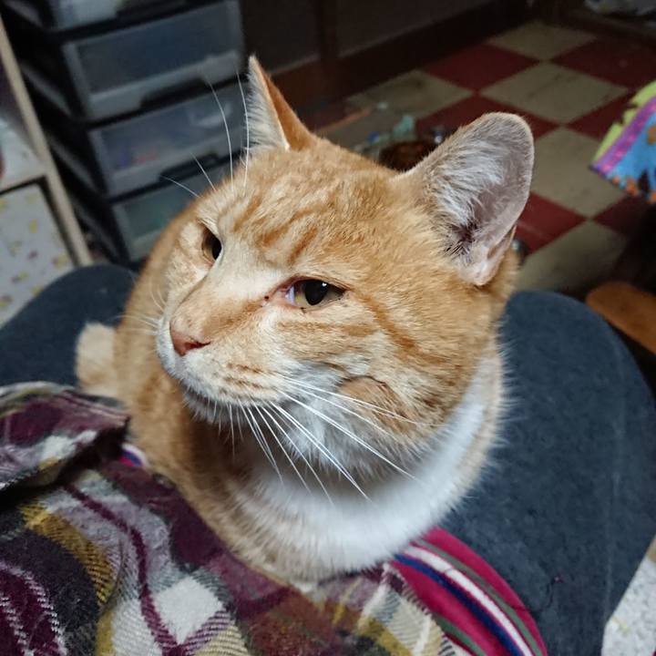 Cf2fd40d 76b7 4a32 b9b0 325745ebac14 1576873917363