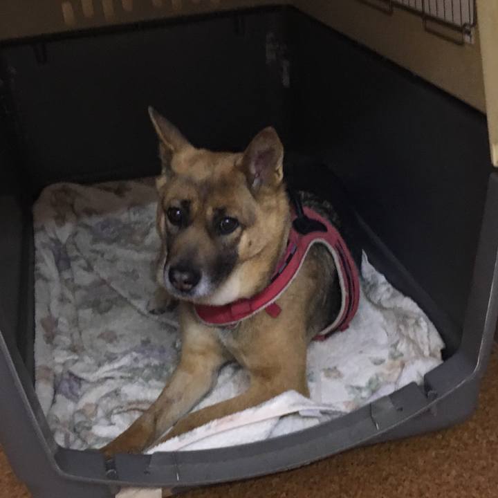 Cf2ff876 0a97 4e93 93e6 8ec7290b5188 1523247461552