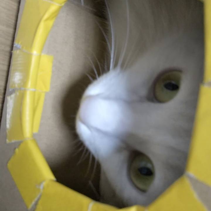 Cf300469 5ecd 4053 8e1c e7cb639fe1fb 1628820757250