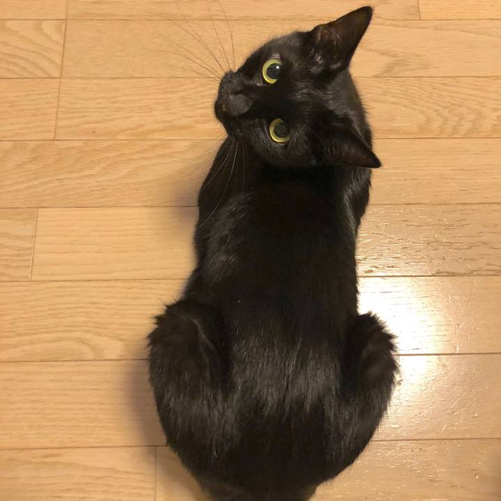 Cf30202c 6e97 4255 8eaf c7b1ac7e2328 1536330827482