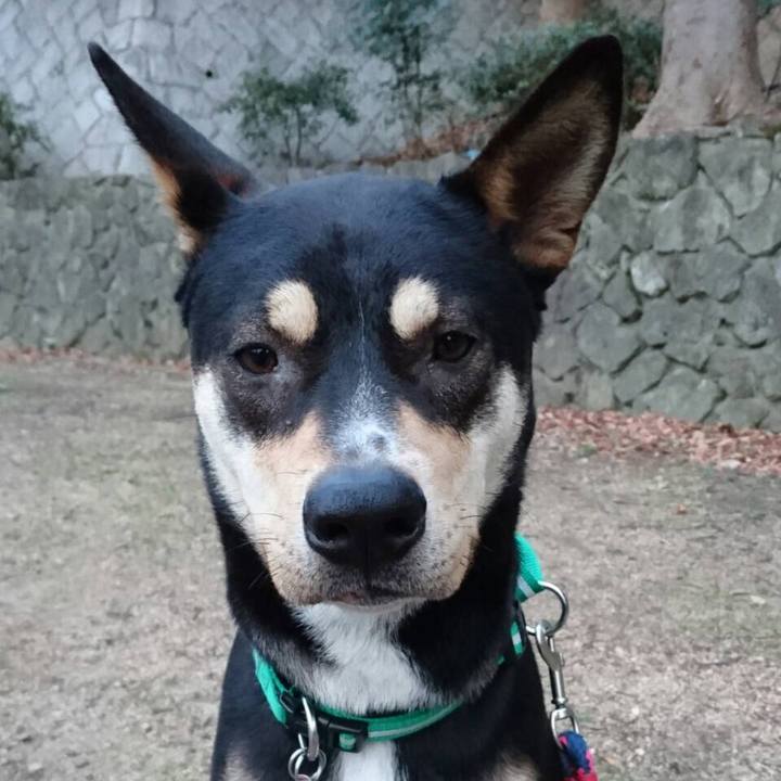 Cf3041f9 d9c8 456f a111 fe2962bee9c9 1515379441363