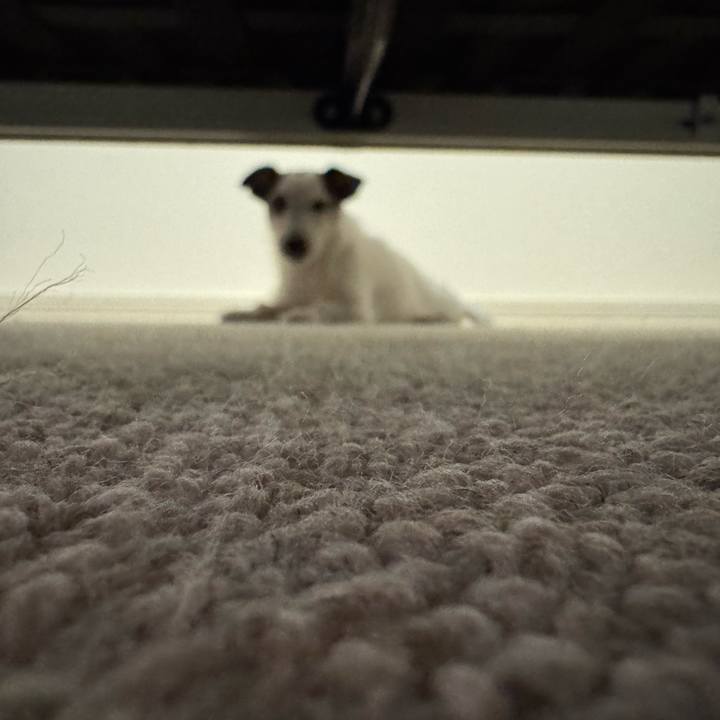 Cf30554a 56e3 488f 9b00 39d5ba58801e 1769082572358