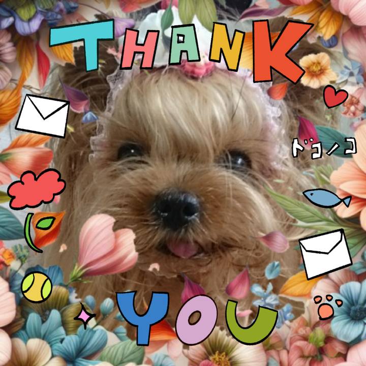 Cf306c5a 19aa 4e71 931b a51d6c4ad7a5 1715480814433