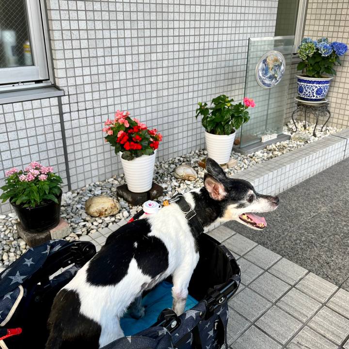 Cf30855b 4cd2 4564 8b20 bc8841b49ec7 1658359172716