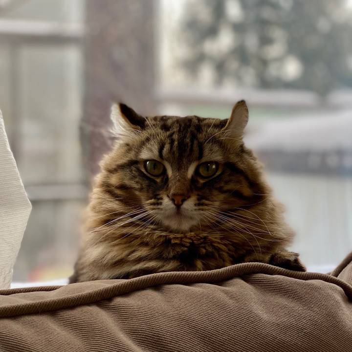 Cf308677 eb5c 4f8a 8583 1202a2685937 1575427141460