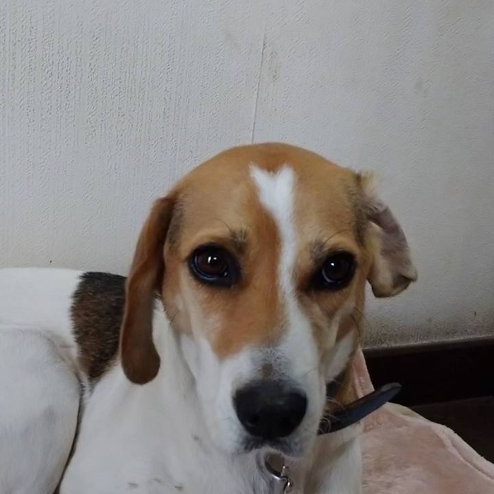 Cf308d61 26bd 4c72 b538 0adf5c736e36 1603079585624