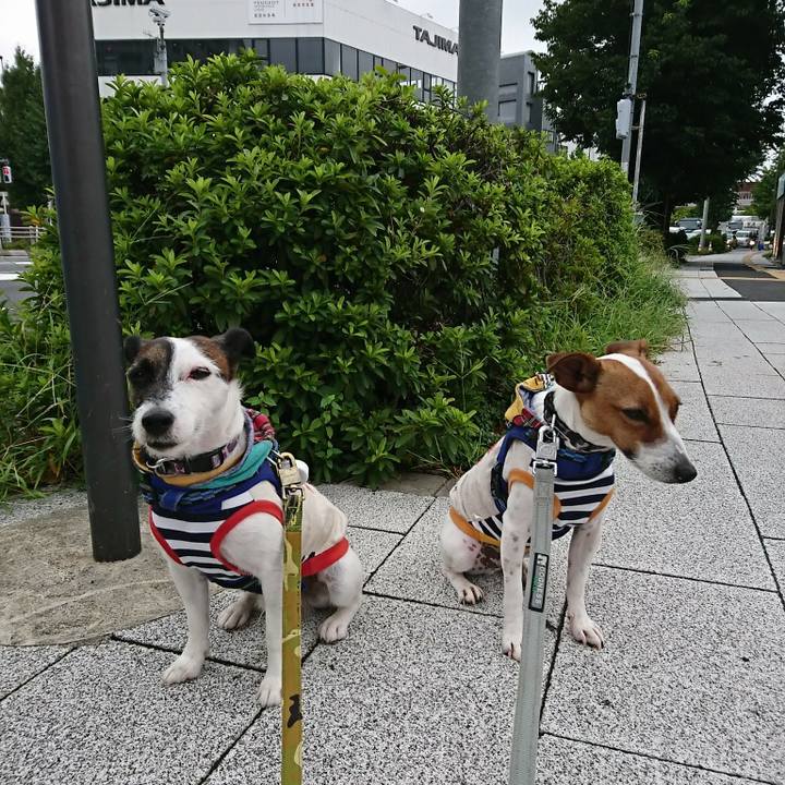 Cf309935 7898 48e0 8197 302048dc75fc 1535492952567