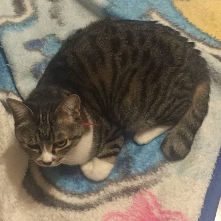 Cf30a12d de35 45c5 bde9 4304ab99e006 1559660548423