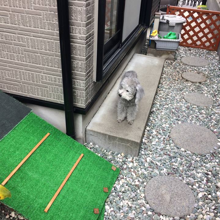 Cf30dd2f d2a6 4ac5 a8d9 4a6516e1a91e 1520855373849