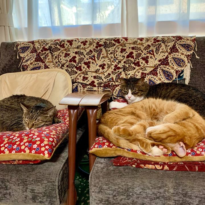 Cf30f253 6d57 4b5a b4b8 e3e6ec8a9f0b 1626254352581