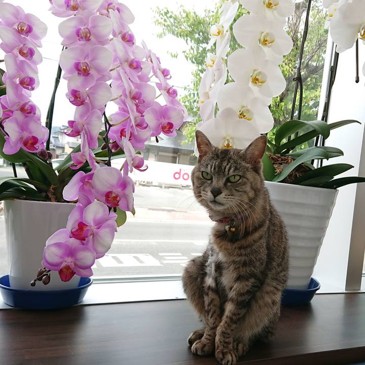 Cf3134f0 b654 4908 9c1f d223d82b7ced 1590912360590