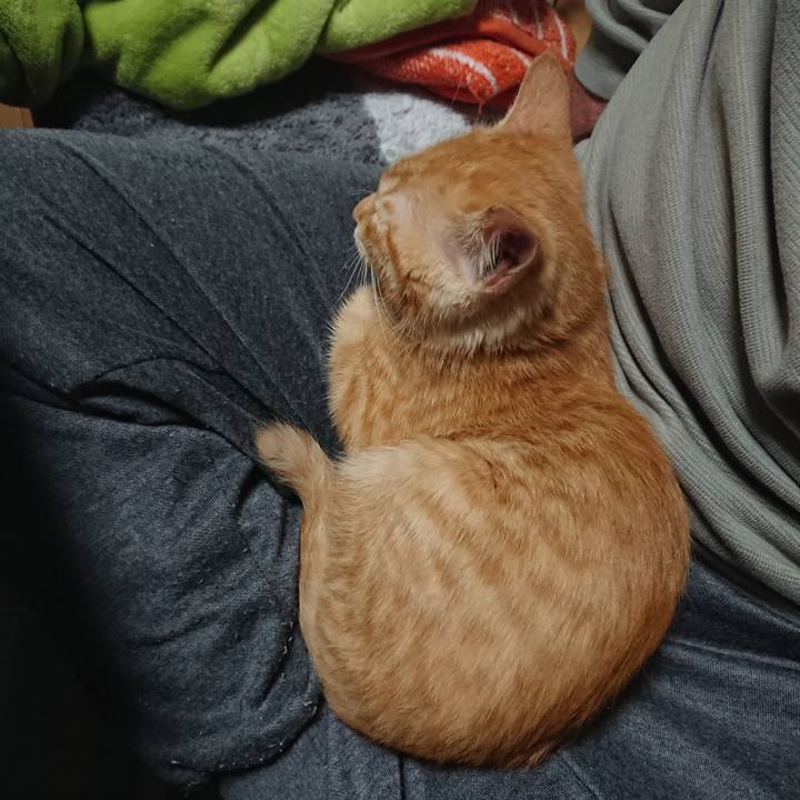 Cf313a84 ced2 4fc9 a9ce 024a0b879553 1632650743972