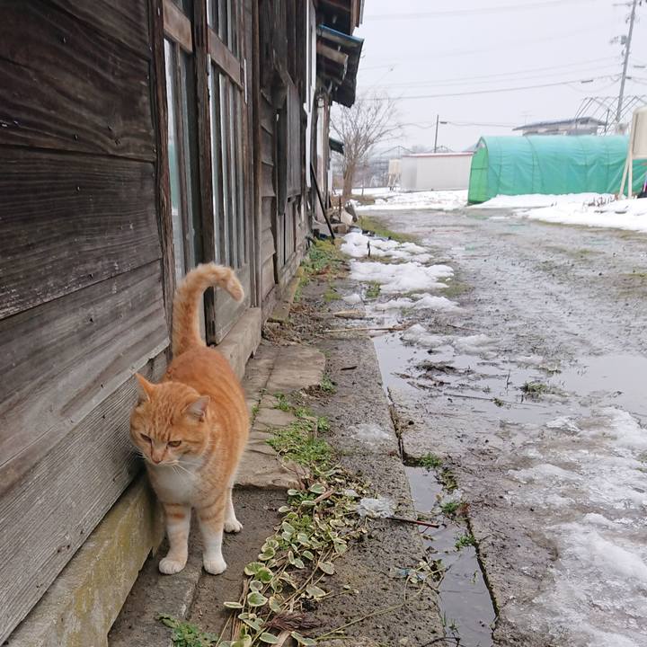 Cf31a518 7839 4dcc bac8 88a9072055d5 1579760842312