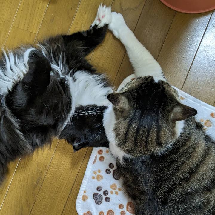 Cf31bf4f 8d80 4cd0 b90a 5700fd8e3322 1681641581071