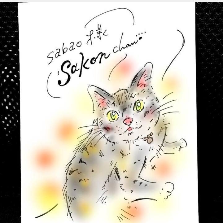 Cf31bfdf 46f5 4e50 9d10 f626eaf7b228 1567694123958