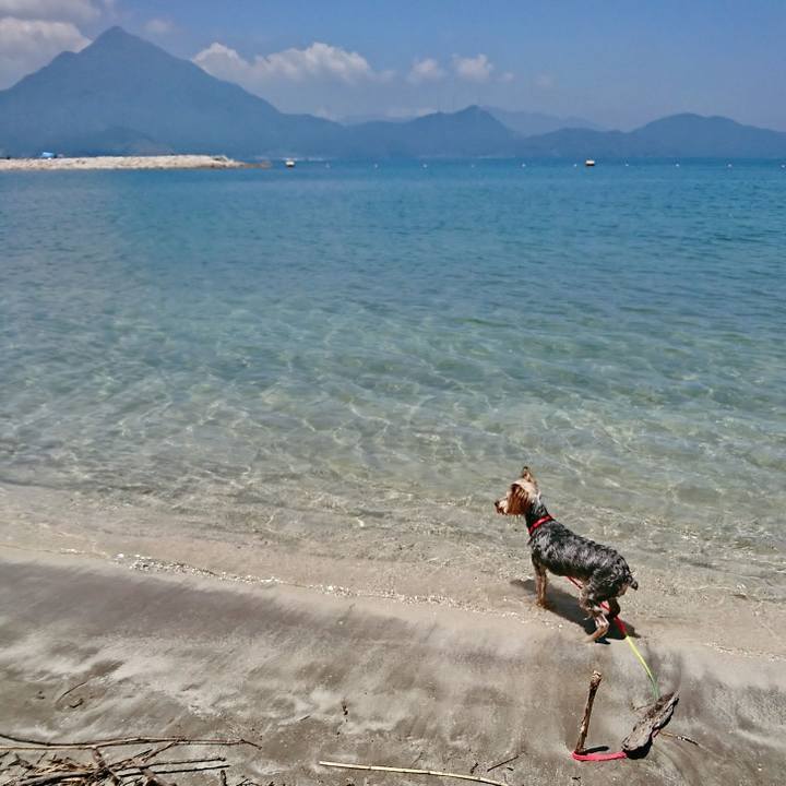 Cf31e7a8 b944 433d abbf ddb3a6c2b5be 1531550474107