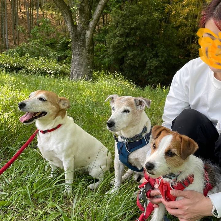 Cf31f369 e6eb 48a5 abea 1721c3d4b9f3 1683114048811