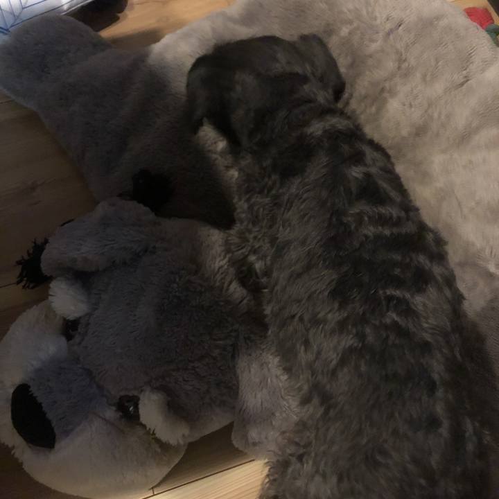 Cf31f9d3 8423 4989 bc45 956b845d009a 1555854212299