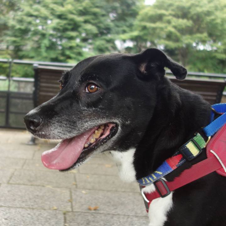 Cf3207d9 fba7 4a9d 9f2b 513f4feea095 1695772612842