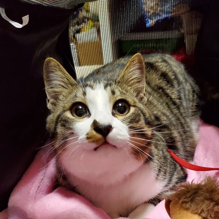 Cf3208cb d7ff 4334 9cc1 66ae61c2fae4 1735315594992