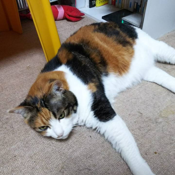 Cf321f1f 09d7 4a15 b6ff 06848f2e6ef3 1536501096832