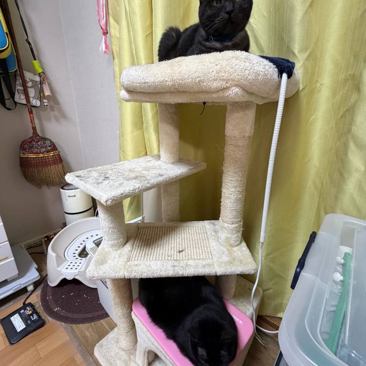 Cf32451b 2aa2 4d3a bf94 0cc7f6ad75f5 1770563685469