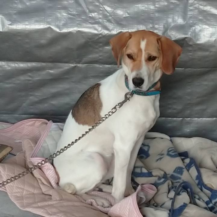 Cf3245c1 093f 4afb ae65 3381821ee5a3 1606805515280