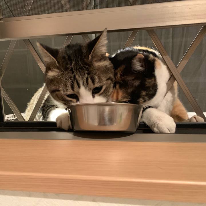 Cf324a84 521a 4399 90c2 7cd9df86d551 1547176433974