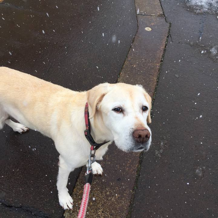 Cf326cb4 eede 42ee a297 e6bee5d03e18 1515031522422