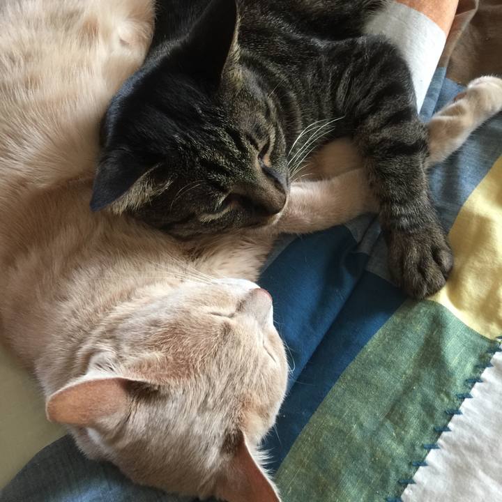 Cf329924 2992 4b53 a72a 38681dc85ac6 1564837442837