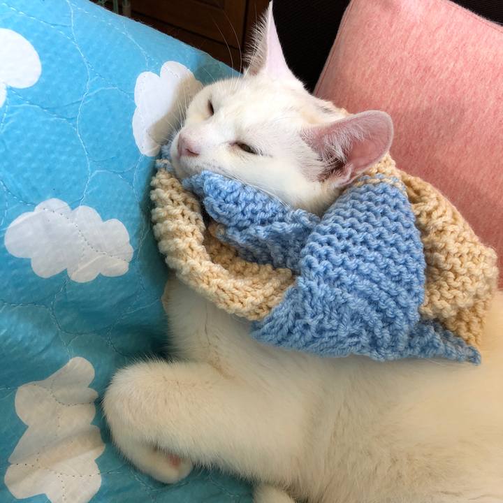 Cf329cff bb90 4015 bf50 e877c98a7052 1621895459519