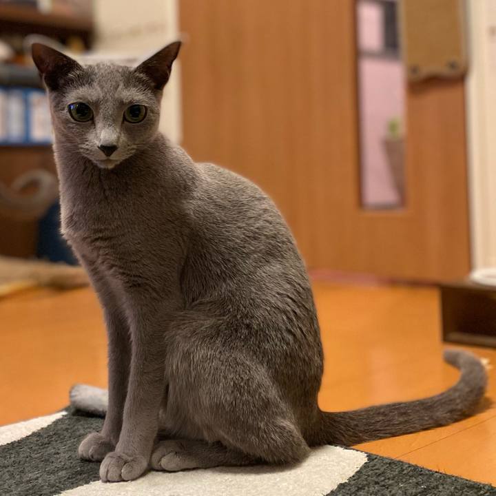 Cf32bf44 e827 48f3 8c50 77980dae8b34 1681380419438